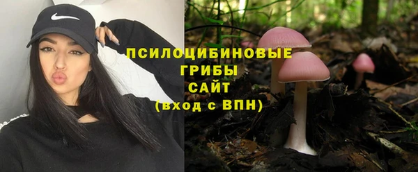твердый Абаза