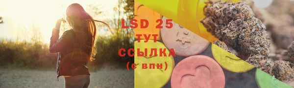 ГАЛЛЮЦИНОГЕННЫЕ ГРИБЫ Абдулино