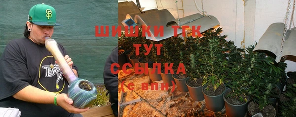 ГАЛЛЮЦИНОГЕННЫЕ ГРИБЫ Абдулино