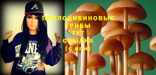 ГАЛЛЮЦИНОГЕННЫЕ ГРИБЫ Абдулино