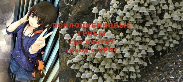 ГАЛЛЮЦИНОГЕННЫЕ ГРИБЫ Абдулино