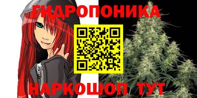 стафф Краснознаменск