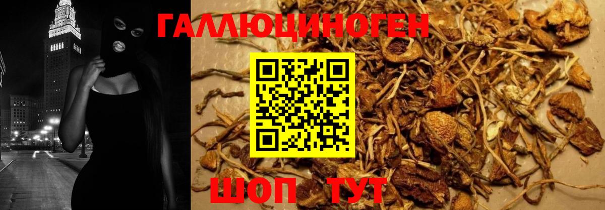 Псилоцибиновые грибы Magic Shrooms  наркошоп  Ивантеевка  Вход с VPN 