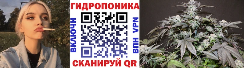 Марихуана гибрид  darknet официальный сайт  Ивантеевка 